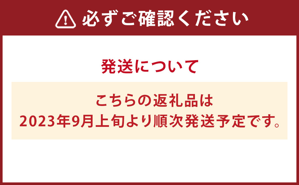 【2023年9月上旬発送】 熊本県菊池市産 ピオーネ ＆ シャインマスカット セットE 約1.8kg ぶどう 果物