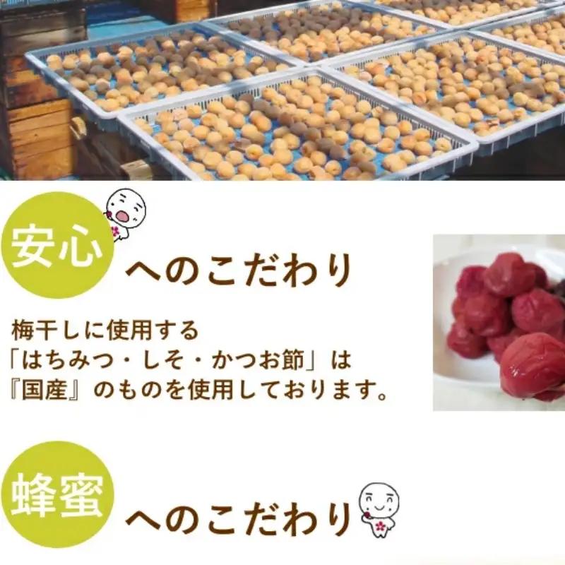 紀州南高梅 やわらか干し梅 はちみつ入り 260g / 和歌山 和歌山県産 田辺市 南高梅 干し梅 種なし はちみつ干し梅 柔らかい干し梅 個包装【nag003】