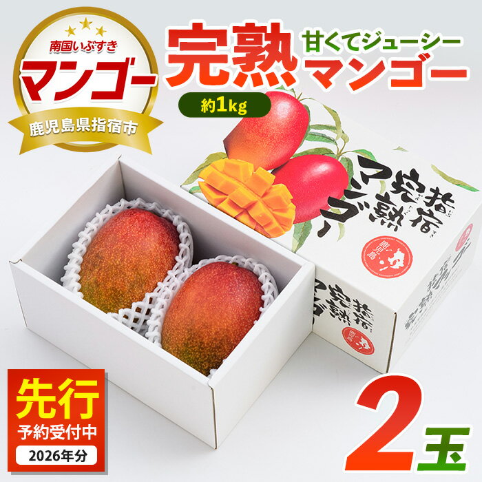 【ふるさと納税】【 2026年発送 先行予約 】 鹿児島県指宿市産 完熟マンゴー 2玉(約1kg) マンゴー フルーツ 果物 夏 旬 果実 くだもの 鹿児島県産 国産 完熟 農家直送 産地直送 産直 トロピカル トロピカルフルーツ 南国 指宿 鹿児島 【花立山農業研究所】