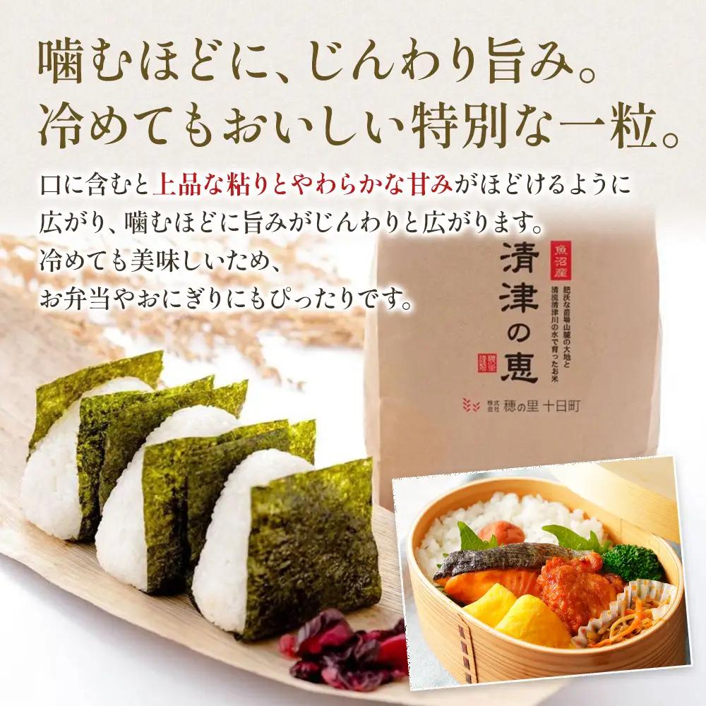 【令和8年産 先行予約】魚沼産特別栽培米コシヒカリ［清津の恵］精米10kg（5kgx2袋）