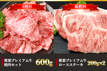 【定期便6回】総重量3.1kg！椎葉プレミアム牛満喫定期便≪ステーキ・すき焼き・しゃぶしゃぶ・焼き肉≫