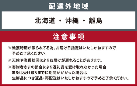 【訳あり】越前がに 4～6杯 （合計2kg以上） 脚折れ【順次発送中】