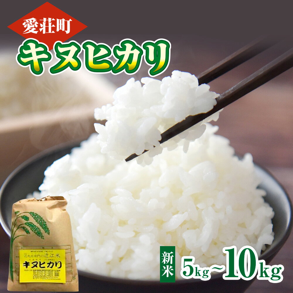 【ふるさと納税】くよもん農園 愛荘町産 キヌヒカリ 5kg～10kg 令和7年産　白米 精米　AG03