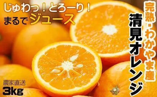 【令和9年 先行予約】清見オレンジ 3kg 混合サイズ 和歌山県 海南市 鈴木農園から直送 清見オレンジ 贈答 プチギフト