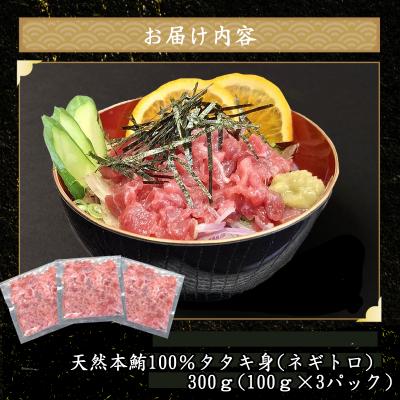 ふるさと納税 室戸市 天然本マグロ タタキ身(ネギトロ) と 鰹タタキ セット |  | 01