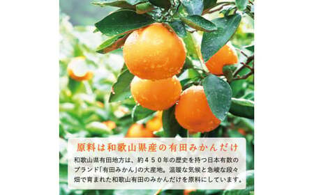 【早和果樹園】【定期便】飲むみかん20本×6ヶ月お届け（B400-3）