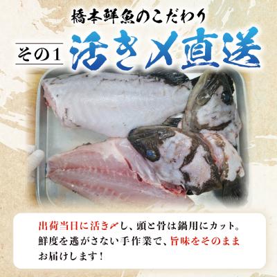 ふるさと納税 西予市 <活き〆 幻のクエ(養殖)1尾> 原体 真クエ くえ 約2kg〜3kg 約5〜6人前 宇和海産 鍋用 |  | 02