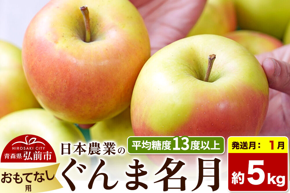 【27年1月発送】りんご ぐんま名月【おもてなし用】約5kg 平均糖度13度以上 青森県 弘前市 果物 フルーツ 林檎 リンゴ くだもの [先行受付 産地直送 アップル 青森県 弘前市]