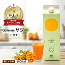 【ふるさと納税】「サジー+ゆず」ジュース 1,000ml×1本｜サジージュース サジー シーベリー 沙棘 グアマラル 健康ドリンク 健康 美容 栄養 果汁 鉄分補給 栄養補給 健康食品 お祝 ギフト 贈答 贈り物 プレゼント ご褒美 記念品 景品 お中元 お歳暮 ドリンク 飲み物 _DX03