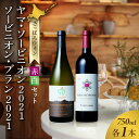 【ふるさと納税】 さっぽろワイン 赤 白 ワイン セット 750ml 各1本 計2本 飲み比べ ヤマ・ソービニオン ソービニオン・ブラン 赤ワイン 白ワイン ミディアム 辛口 アルコール お酒 記念日 誕生日 ギフト プレゼント 北海道 札幌市