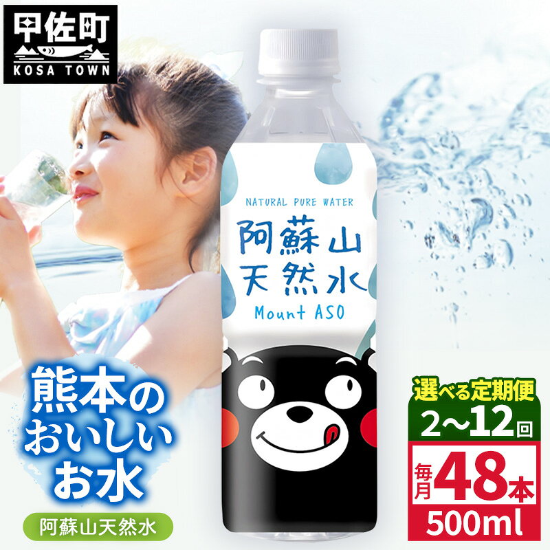 【ふるさと納税】【選べる定期便】熊本のおいしいお水 阿蘇山天然水 500ml×48本（2ケース）（共通返礼品・御船町）【2ヵ月／3ヶ月／6ヵ月／12ヵ月】 - 水 飲料水 ミネラルウォーター 箱買い まとめ買い ペットボトル 軟水 防災 備蓄 ローリングストック 熊本県【価格改定】