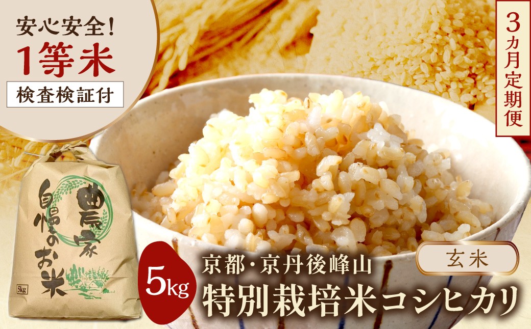 
                  【3ヶ月定期便】2026年産 京都・京丹後峰山 特別栽培米コシヒカリ 5kg 【玄米】 1等米 検査済証付　ふるさと納税 米 玄米 定期便 京都 コシヒカリ 特別栽培 ふるさと納税 玄米 定期便　MF00087
                