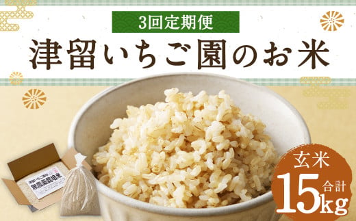 【3回定期便】 津留いちご園のお米 玄米 農薬・化学肥料不使用（栽培期間中） 約5kg×3回 合計約15kg【2025年11月上旬発送開始】 ご飯 定期便 福岡県産 国産