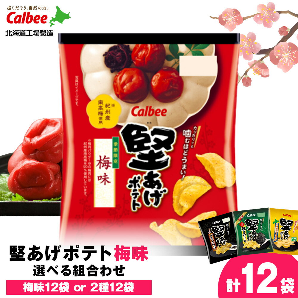 【ふるさと納税】堅あげポテト＜梅味＞ 選べる組み合わせ 計12袋 梅味 ブラックペッパー 焼きのり バターしょうゆ カルビー ポテトチップス《千歳工場製造》スナック お菓子 北海道 千歳 ポテチ チップス 北海道ふるさと納税 千歳市 ふるさと納税 ギフト ふるさと納税