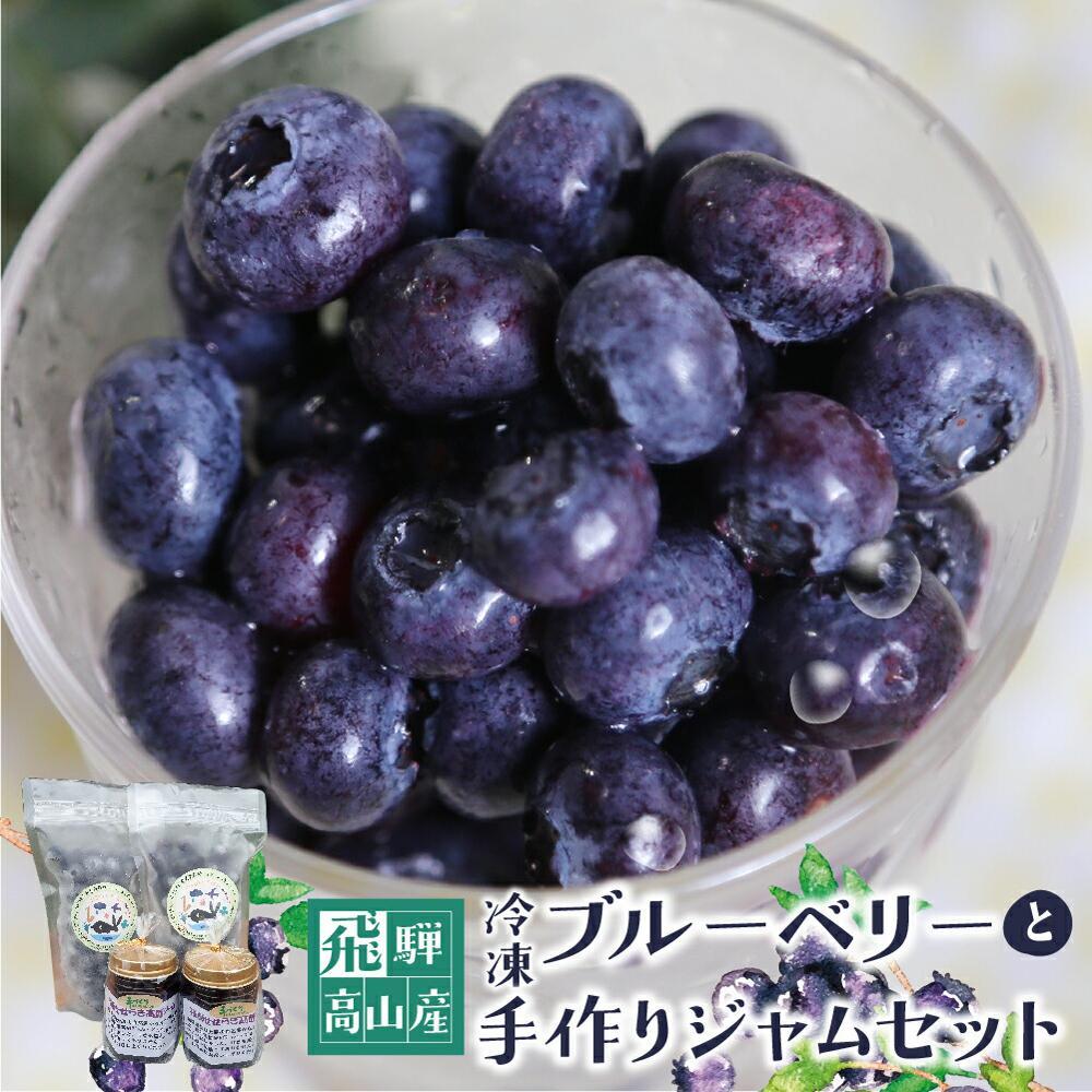 【ふるさと納税】【年内配送が選べる】治助ファームの北部ハイブッシュブルーベリー「冷凍果実」210g×2袋と手作りジャム110g×2個セット | 発送時期が選べる 年内発送 国産 ブルーベリー ジャム フルーツ 製菓 冷凍 くだもの 冷凍フルーツ 飛騨高山 治助ファーム LJ006VP