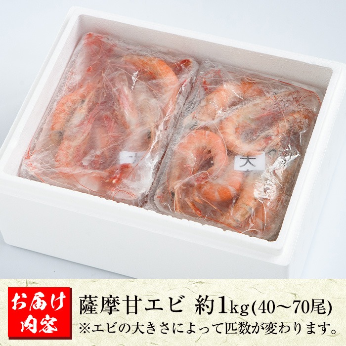 数量限定！鹿児島県阿久根産 薩摩甘エビ(約1kg・40～70尾) 国産 阿久根市産 えび 海老 急速冷凍 冷凍配送 魚貝類 魚介類 海産物 【濱崎魚類】a-12-30