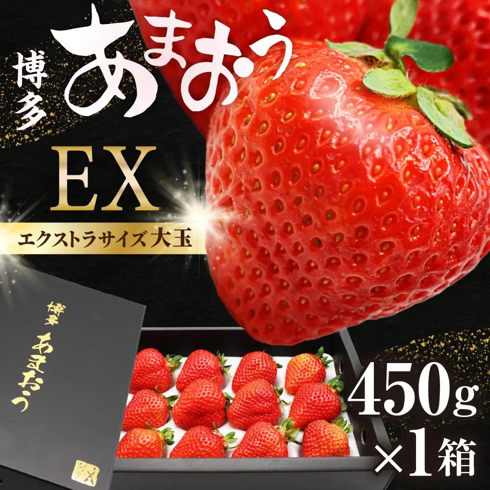 【先行予約】1月より順次発送！「博多あまおう」EX　贈答用化粧箱　約450g 1箱【ほたるの里】_AS0752-00