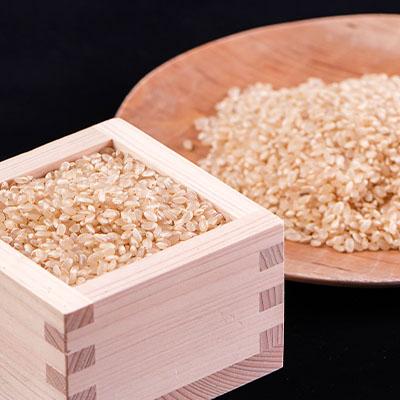 ふるさと納税 高森町 【南信州高森産】2024年産新米コシヒカリ玄米10kg |  | 02