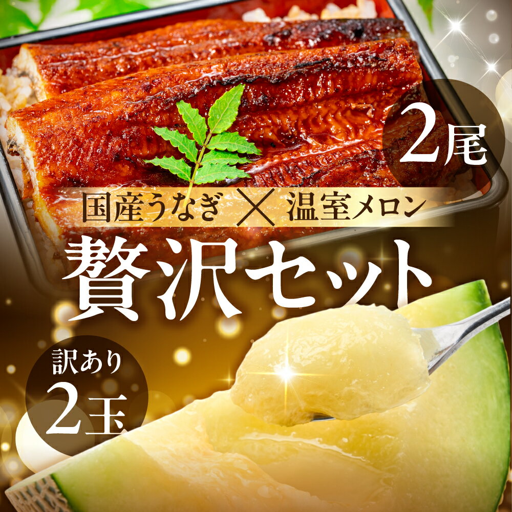 【ふるさと納税】国産うなぎ & 温室メロン セット うなぎ 訳あり 蒲焼 2尾 メロン 2玉 ウナギ 鰻 蒲焼き 土用丑の日 丑の日 簡単調理 惣菜 フルーツ くだもの unagi 暑さ 対策 贅沢 簡単調理 惣菜 デザート 愛知県 豊橋市