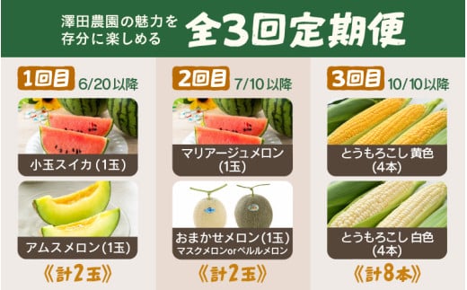 【先行予約】≪定期便/全3回≫フルーツ王国あわらのこだわり5品 農家直送 厳選品／ 期間限定 果物 フルーツ 青肉メロン 赤肉メロン 西瓜 とうもろこし 産地直送 ※2027年6月中旬より順次発送 [