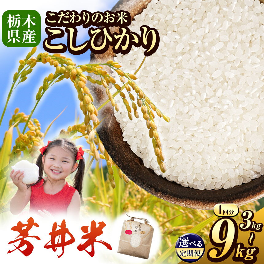 【ふるさと納税】那珂川町産コシヒカリ芳井米 3~9kg 数量限定 新米 令和7年度産 こしひかり コシヒカリ お米 米 こめ コメ 精米 美味しい 白米 人気 那珂川町 農家 直送 定期便あり | 選べる内容量 とちぎ 共通返礼品 訳あり 送料無料 那珂川町 栃木県
