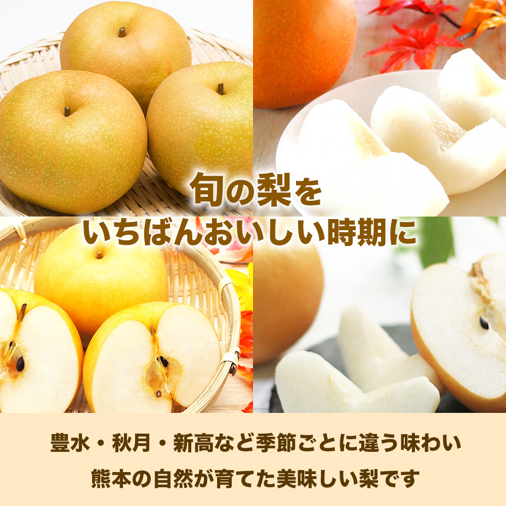 先行予約 旬の梨 品種おまかせ  約3kg（4〜12玉）【2026年8月上旬〜2026年10月中旬配送予定】梨 なし ナシ 幸水 豊水 秋月 新高 新興 秋麗 甘太 凛果 にっこり 愛宕 果物 フルー
