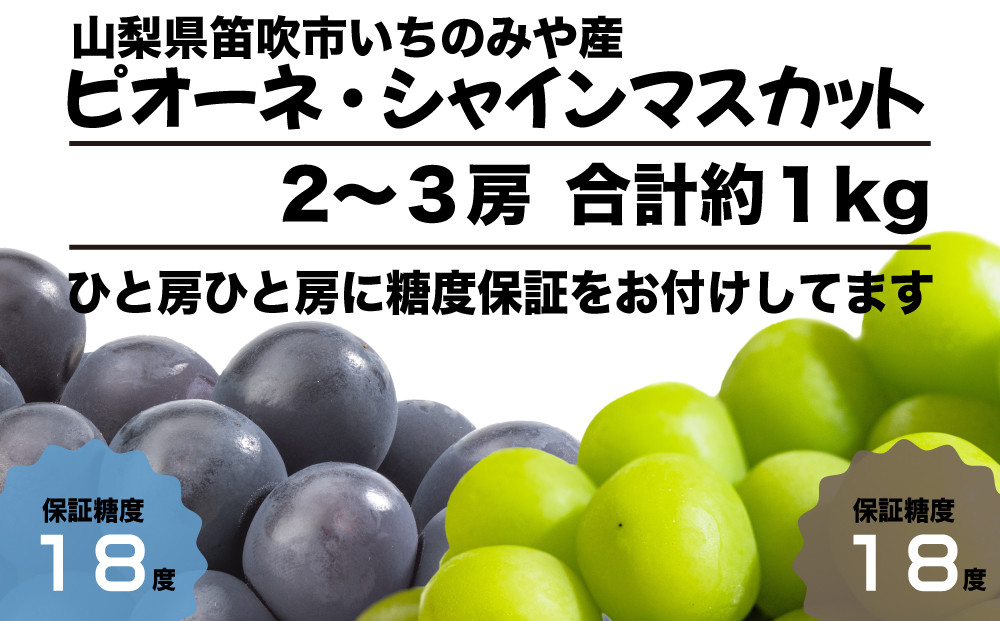 
【全房糖度保証付】王道ピオーネとシャインマスカット食べ比べ 合計約1kg【数量限定】旬の美味しいフルーツだけをお届けします【ルッチ Rucci】産地直送 山梨県 笛吹市 果物 葡萄 ぶどう 黒ブドウ 黒系 贈答 人気 ギフト
ト
