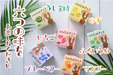 みんなのアイス 12個セット（ 卵・牛乳・小麦等アレルギー特定原材料8品目不使用のアイス ） [A-031004]