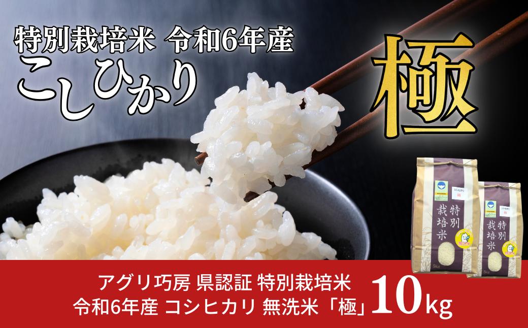 
県認証 特別栽培米 コシヒカリ 「極」 10kg 無洗米 令和6年産米 こしひかり 新潟県認証 白米【024S041】
