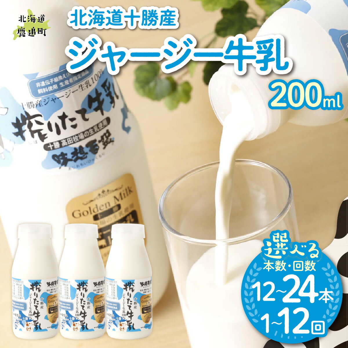 【ふるさと納税】ジャージー牛乳 200ml 選べる本数 12本 / 24本 配送回数 1回 / 3回 / 6回 / 12回【 牛乳 乳 濃厚 ミルク 生乳 生乳100% ジャージー牛 コク 乳脂成分 たんぱく質 北海道産 十勝 牧場 朝食 おやつ 料理 美味しい おいしい こだわり 】