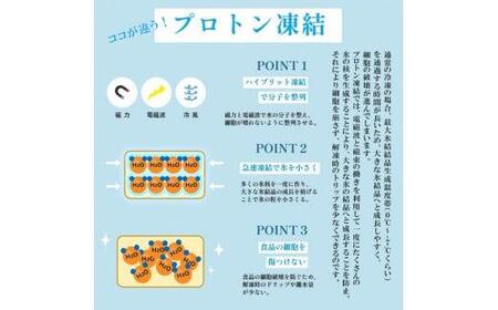 【訳あり】さざえの舞鶴焼き 100～150gサイズ × 5個 サザエ プロトン冷凍 魚介 海鮮 つぼ焼き