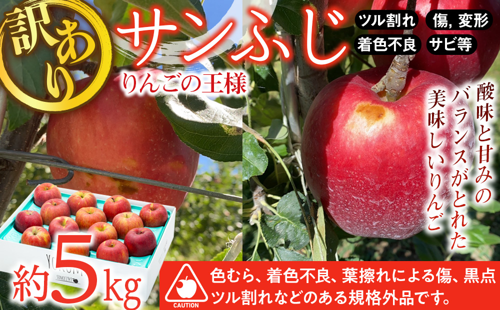 先行予約 訳あり りんご さんふじ 約5kg 2024年 令和6年度発送分 リンゴ 林檎 長野 フルーツ 果物 信州産 長野県産 特産 産地直送 家庭用 おすすめ