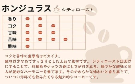 ホンジュラス テトラパック20P 10g×10P 2袋 コーヒー 珈琲 コーヒー 珈琲