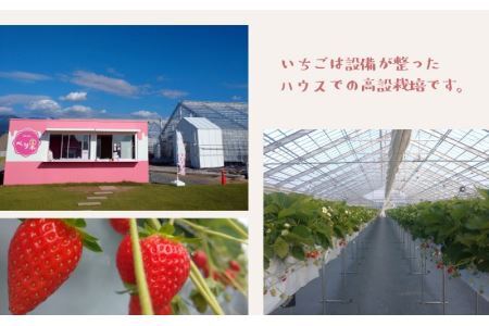 自家製カップアイス2種セット（いちご 6個 & みっくす 6個） [A-045002]