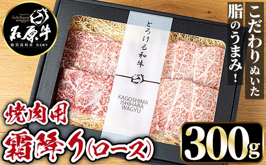 石原牛 霜降りロース 焼肉用(300g) 黒毛和牛 国産 九州産 鹿児島県産 ブランド牛 焼肉 BBQ 牛肉 和牛 霜降り ロース 冷凍 贅沢 贅沢な一品 贈答用 ギフト用【株式会社石原PRO】a-26-12