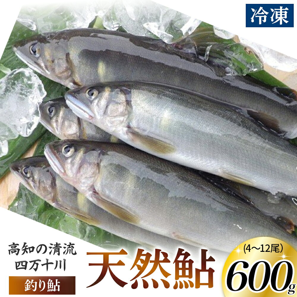 【ふるさと納税】四万十川上流の天然鮎　釣り鮎【冷凍 4～12尾】Esj-A40k あゆ アユ 魚 魚介 川魚 塩焼き 鮎 天然 個包装 600g 小分け