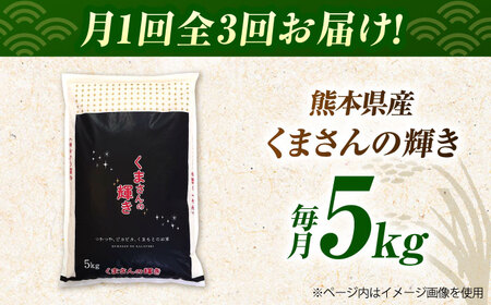 令和7年産3回定期便くまさんの輝き白米5kg 白米定期便ZBI037