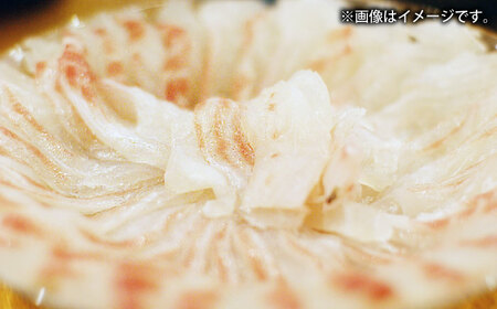 壱岐産　幻天然クエ　刺身・鍋加工　10㎏～15㎏《壱岐市》 【みやげ処 縁由】[JBJ022]