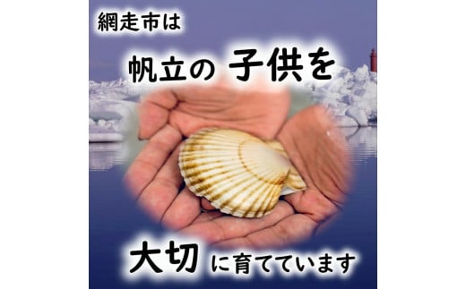 オホーツク産 冷凍帆立（ほたて）の貝柱 ４Ｓサイズ1kg ABX070 | ホタテ 帆立 ホタテ 帆立 ホタテ 帆立 ホタテ 帆立 ホタテ 帆立 ホタテ 帆立 ホタテ 帆立 ホタテ 帆立 ホタテ 帆立