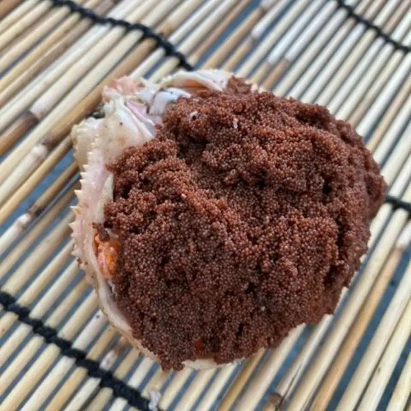 酒市の贅沢セイコガニの子宝盛　3個入 カニ かに 蟹