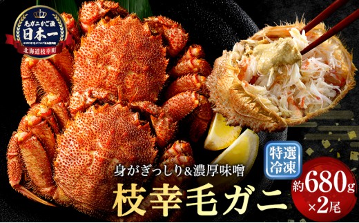 
                  【漁獲量日本一】至福の逸品！特選冷凍「枝幸毛がに」約680g×2尾【 毛蟹 毛ガニ オホーツク 北海道 加工食品 地域のお礼の品 カタログ 毛ガニ 北海道 オホーツク 枝幸 】
                