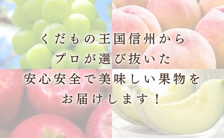 りんご シナノスイート 5kg 贈答用 信州 フルーツ 果物　林檎 リンゴ くだもの 旬の果物 旬のフルーツ 信州産 長野県産 長野 長野県 上田市