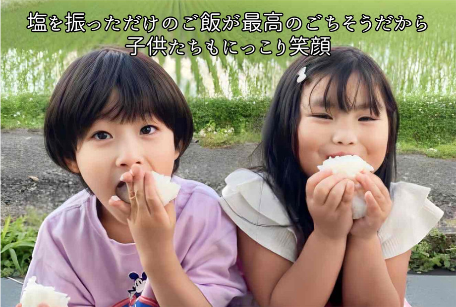 令和7年産　南魚沼塩沢産コシヒカリ　８割減特別栽培米　無洗米５kg