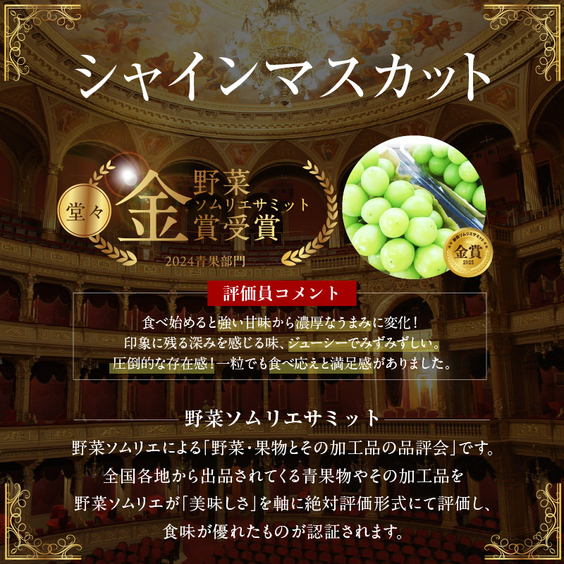 【2026年発送】特大房！ みなさんの応援から大きく実った特大シャインマスカット約800ｇ以上（1房）【数量限定】 フルーツ H004-152