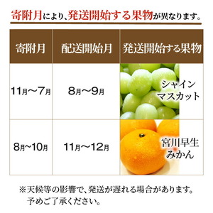 三豊市フルーツ2回お届け定期便 I