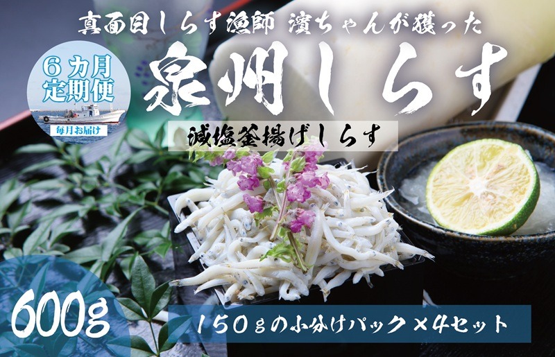 099Z310 【定期便】泉州しらす （減塩釜揚げ）600g ×全6回 真面目漁師 濱ちゃんのこだわり