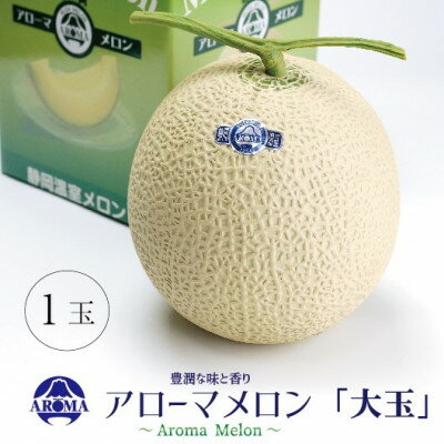 【ふるさと納税】【通年出荷】アローマメロン 白等級(大玉) 1玉入【配送不可地域：離島・北海道・沖縄県】【1170110】