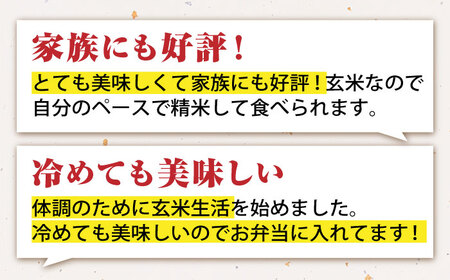 【先行予約】令和7年産 新米 さがびより 玄米 15kg【かづやの農園】 [HAP003]