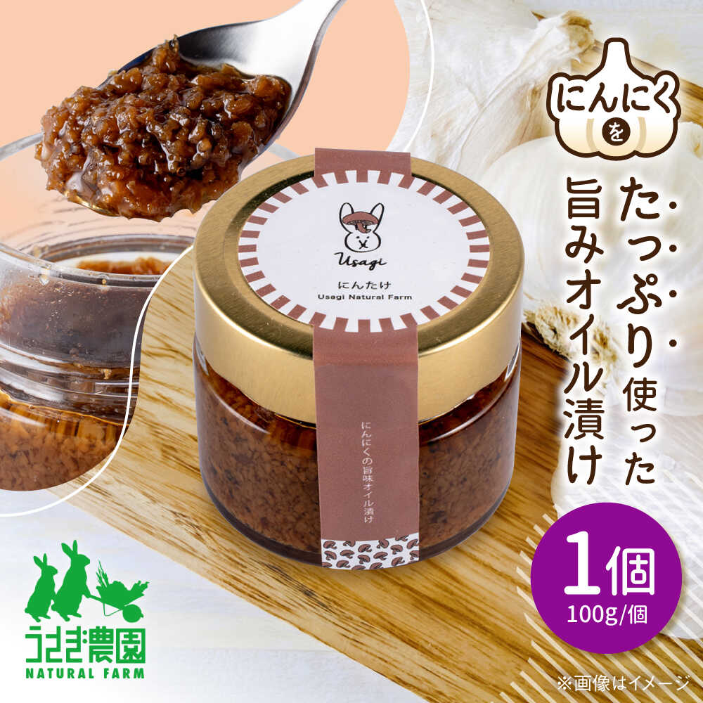 【ふるさと納税】にん茸 にんにくの旨味オイル漬け (100g×1個)【うさぎ農園】[AYDJ005]