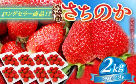 
                  さちのか 2kg（250g×8パック） / いちご / 佐賀県 / リフルット株式会社 [41ABAA009]
                